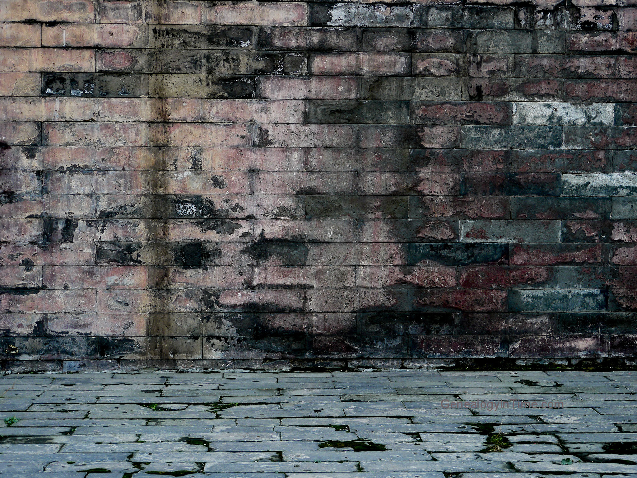 Free Brick Wall Images (page 4)