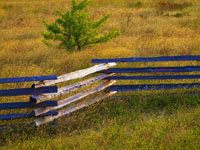 abandoned farm field