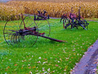 antique farm equipment in corn field