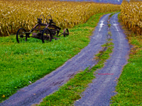 fall corn with antique farm equipment