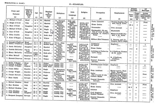 1926 Ireland census form