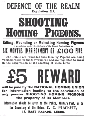 Edinburgh world war I poster on homing pigeons